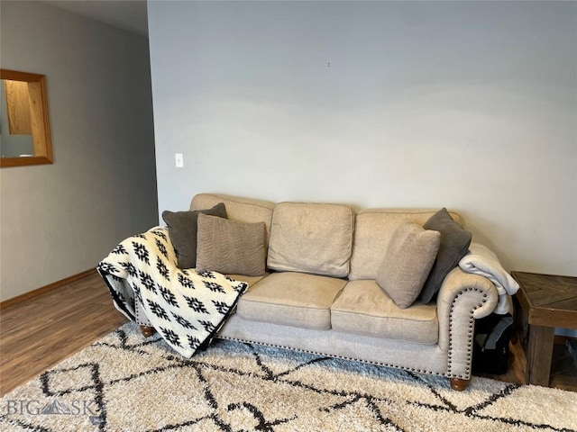 living room with wood-type flooring