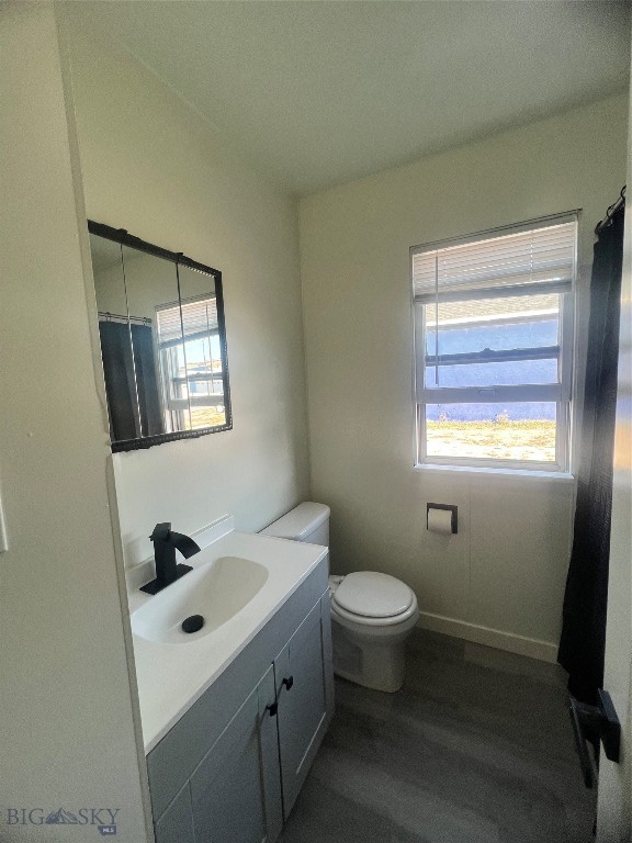 bathroom with hardwood / wood-style flooring, vanity, and toilet