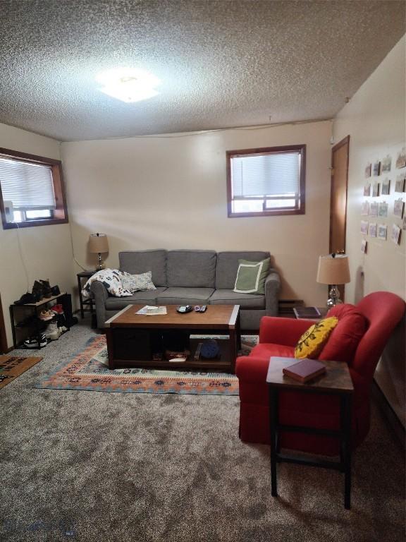 418 W Babcock St, Bozeman, MT 59715 - photo 19