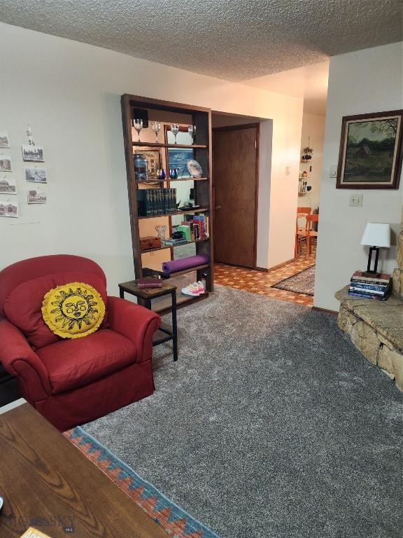 418 W Babcock St, Bozeman, MT 59715 - photo 20