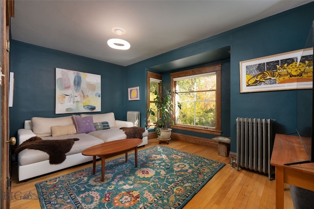 living room featuring wood-type flooring and radiator heating unit