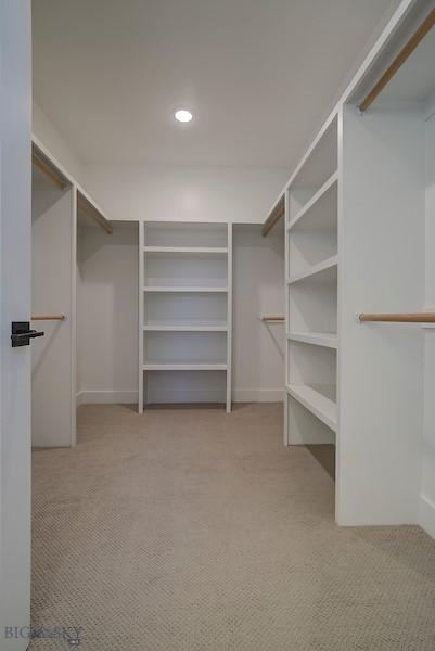 spacious closet featuring light colored carpet