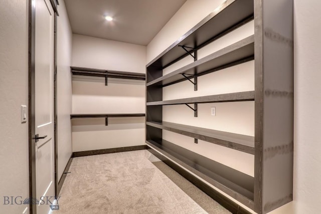 119 Clancy Way, Bozeman, MT 59718 - walk in closet with carpet flooring