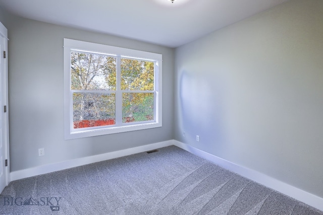 unfurnished room featuring carpet and plenty of natural light