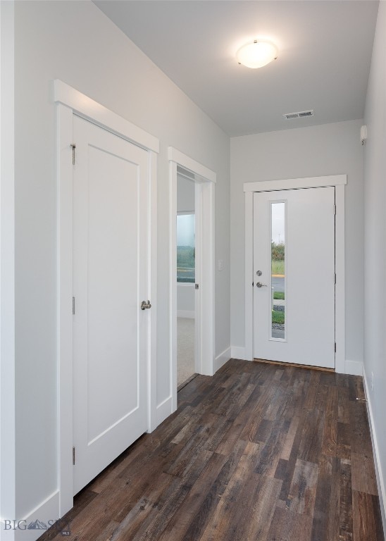 foyer featuring dark wood-type flooring