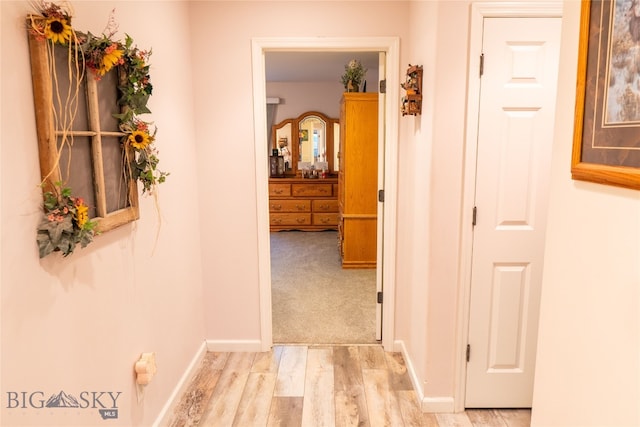 hall with light hardwood / wood-style flooring