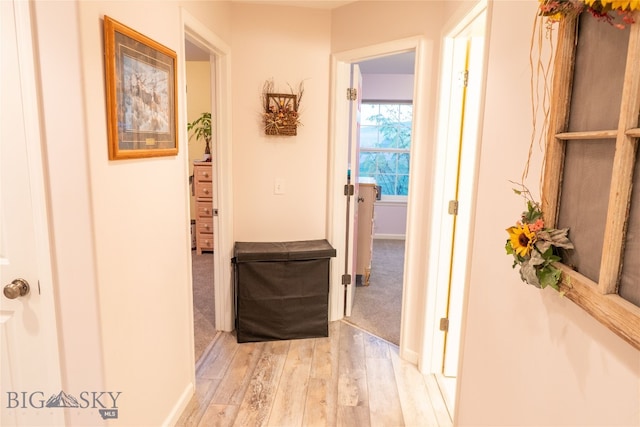 corridor with light hardwood / wood-style flooring