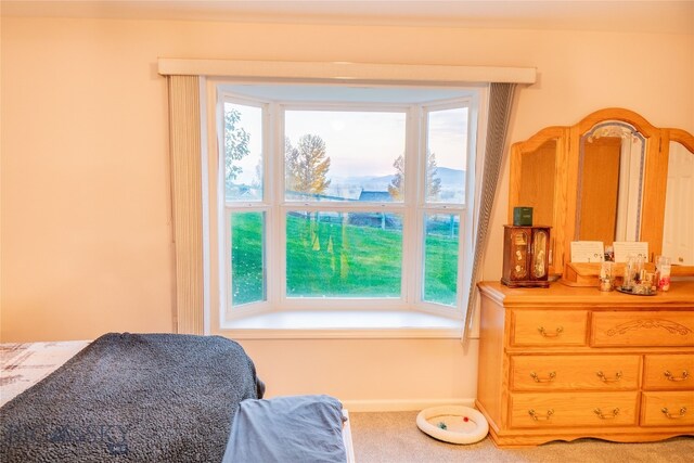 bedroom with multiple windows and carpet flooring