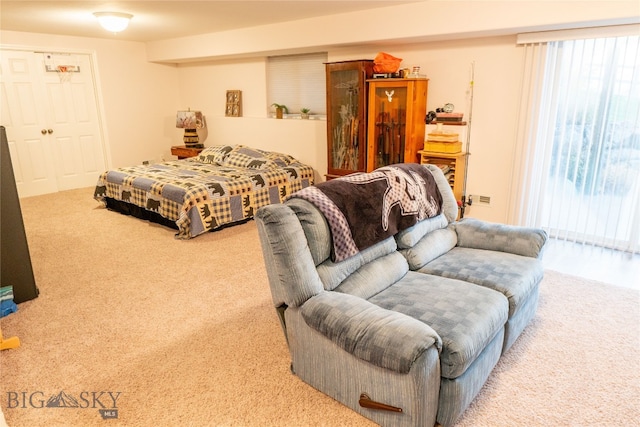 carpeted bedroom with a closet