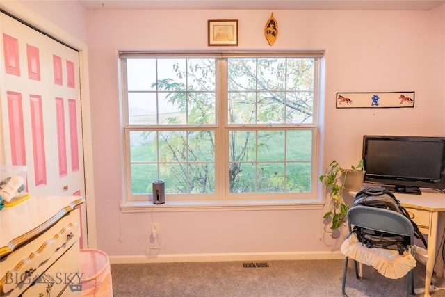 office area featuring carpet floors and a healthy amount of sunlight