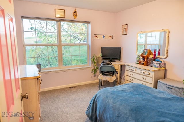 bedroom with carpet