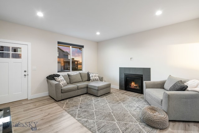 living room with a fireplace and hardwood / wood-style floors