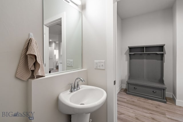 bathroom featuring sink and wood-type flooring