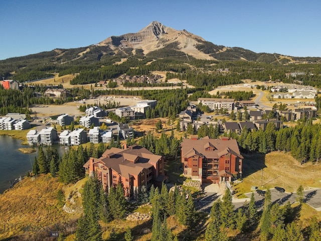 aerial view with a mountain view