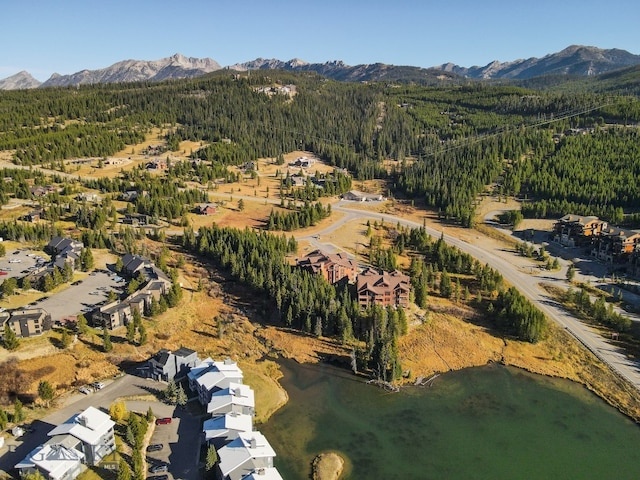 birds eye view of property with a mountain view