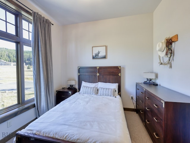 view of carpeted bedroom