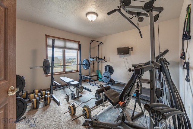 exercise room featuring a textured ceiling and carpet floors