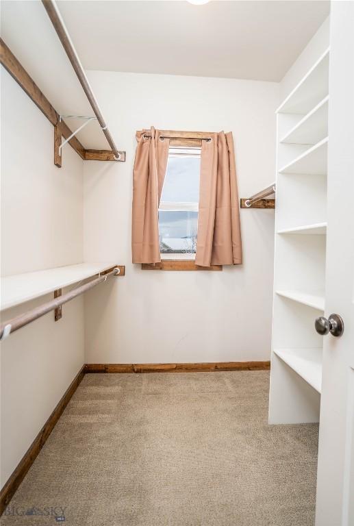 spacious closet featuring light carpet