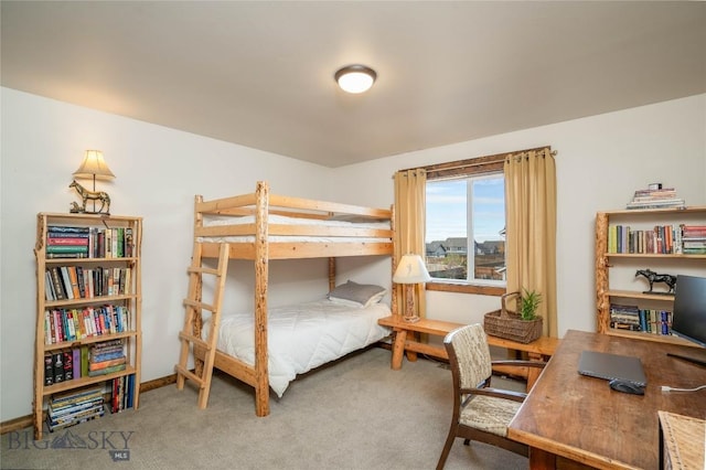 bedroom with carpet floors