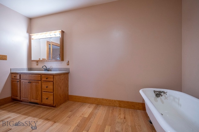 bathroom with vanity, wood-type flooring, and a washtub