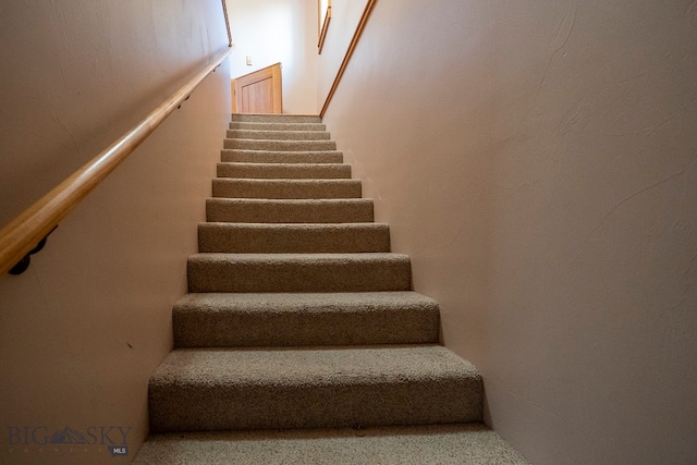 stairs with carpet