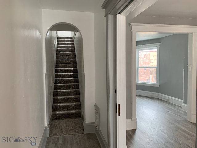 staircase with hardwood / wood-style floors