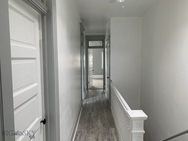 hall with dark hardwood / wood-style floors