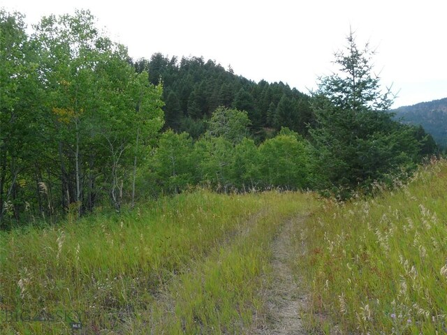11 Tipsue Rd, Livingston, MT 59047