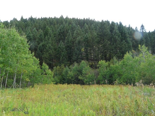 11 Tipsue Rd, Livingston, MT 59047
