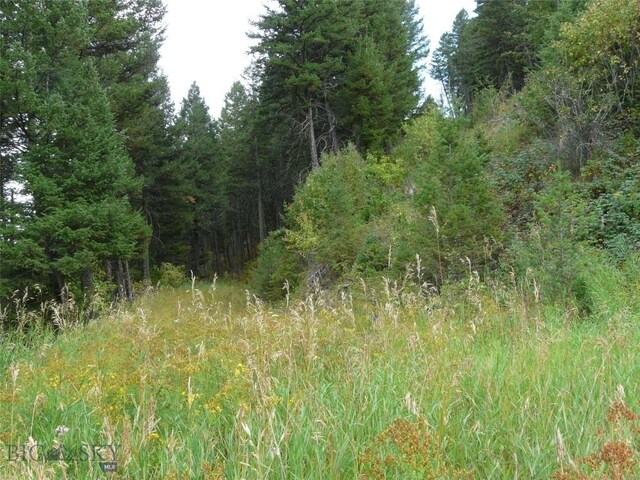 11 Tipsue Rd, Livingston, MT 59047
