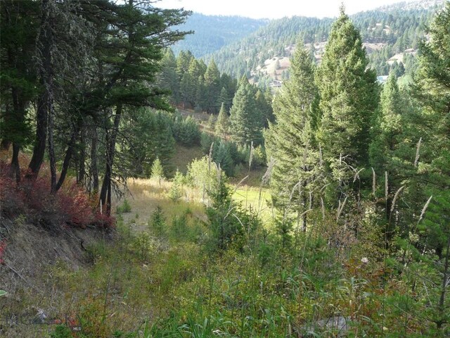 11 Tipsue Rd, Livingston, MT 59047