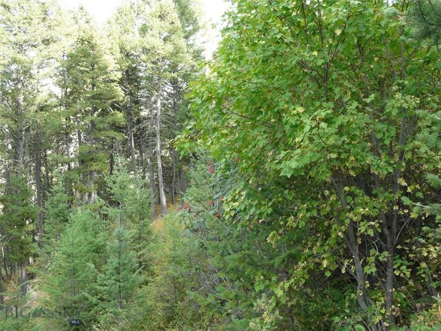 11 Tipsue Rd, Livingston, MT 59047