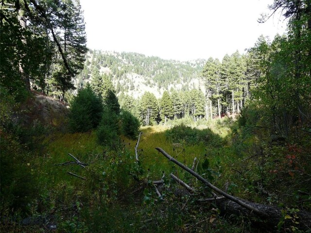 11 Tipsue Rd, Livingston, MT 59047
