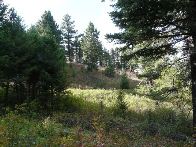 11 Tipsue Rd, Livingston, MT 59047