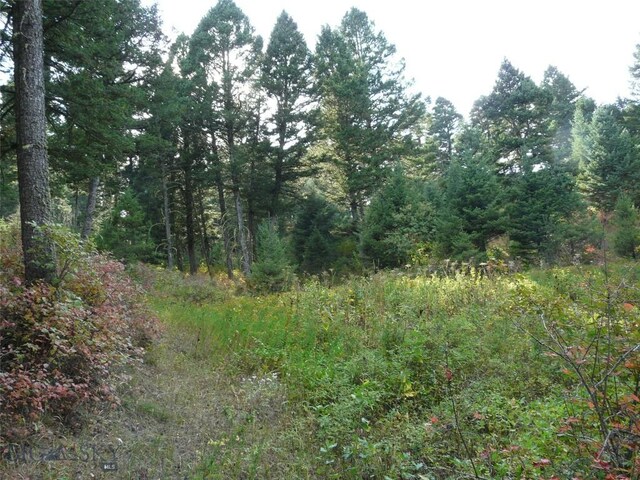 11 Tipsue Rd, Livingston, MT 59047