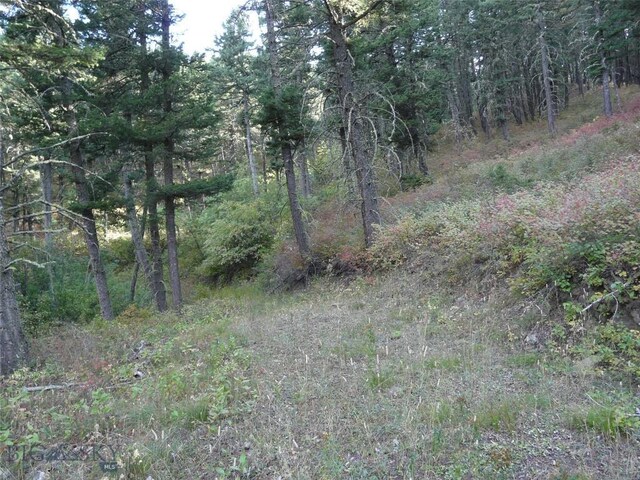 11 Tipsue Rd, Livingston, MT 59047