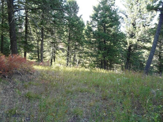 11 Tipsue Rd, Livingston, MT 59047