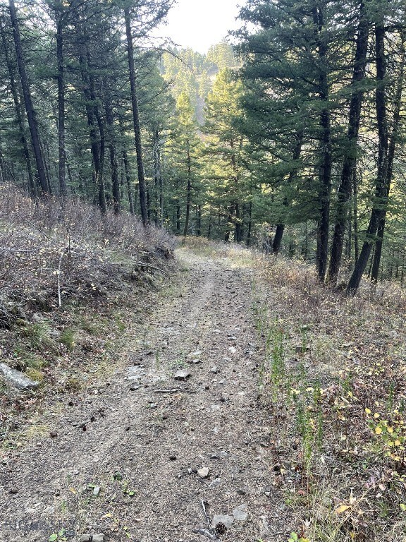 11 Tipsue Rd, Livingston, MT 59047