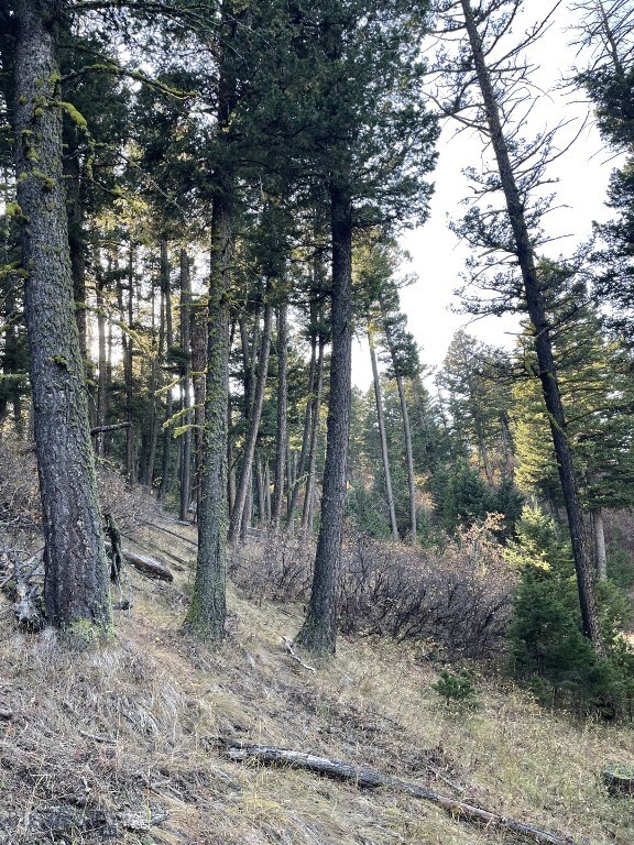 11 Tipsue Rd, Livingston, MT 59047