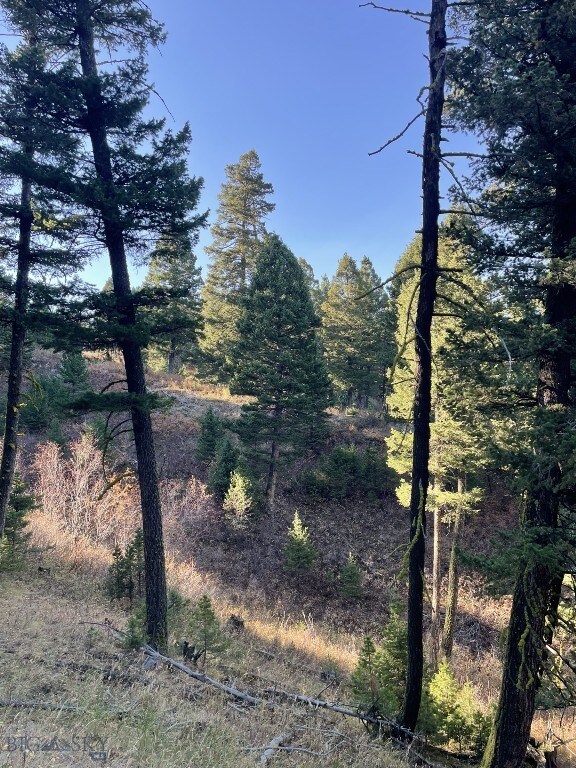 11 Tipsue Rd, Livingston, MT 59047