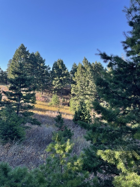 11 Tipsue Rd, Livingston, MT 59047