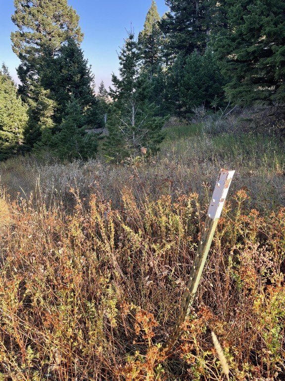 11 Tipsue Rd, Livingston, MT 59047