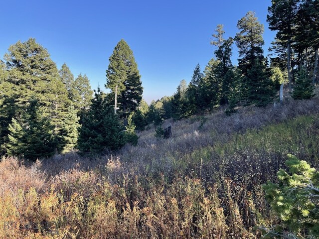 11 Tipsue Rd, Livingston, MT 59047
