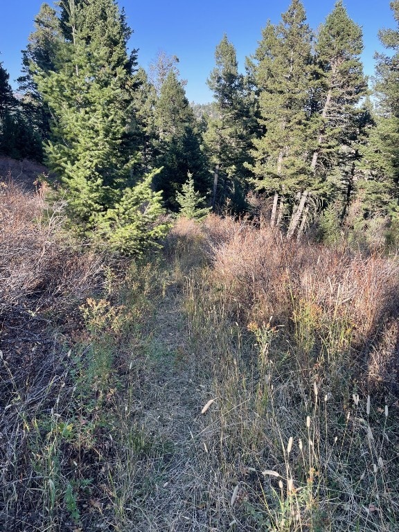 11 Tipsue Rd, Livingston, MT 59047