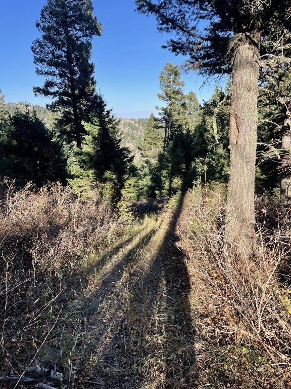 11 Tipsue Rd, Livingston, MT 59047