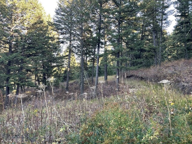 11 Tipsue Rd, Livingston, MT 59047