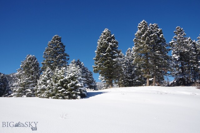 11 Tipsue Rd, Livingston, MT 59047
