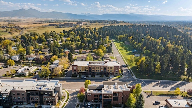 aerial view with a mountain view