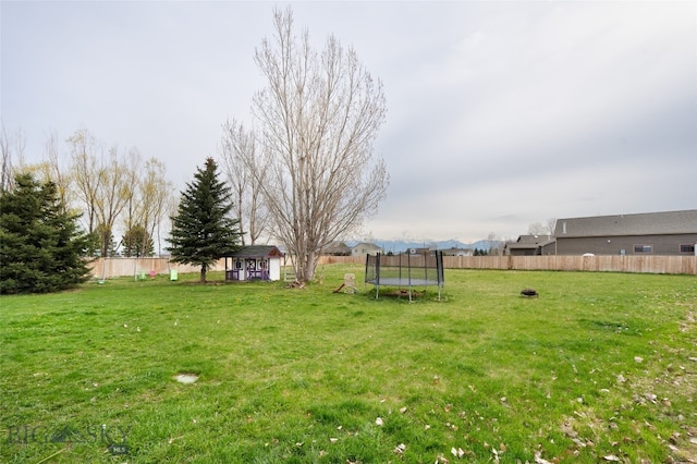 view of yard featuring a trampoline