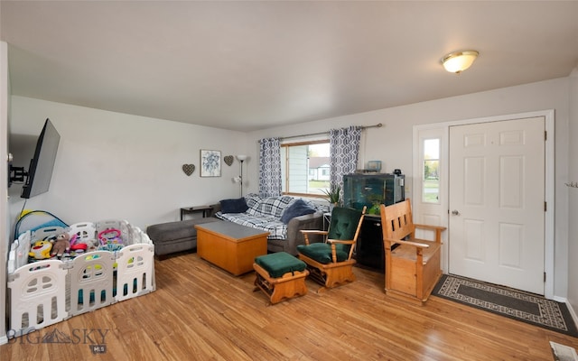 living room featuring hardwood / wood-style flooring